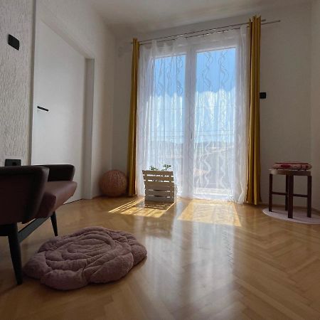 Cilka'S House, Authentic Homestay Near Lipica 塞扎纳 外观 照片