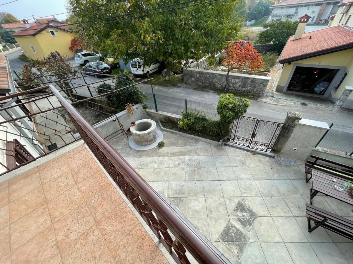 Cilka'S House, Authentic Homestay Near Lipica 塞扎纳 外观 照片