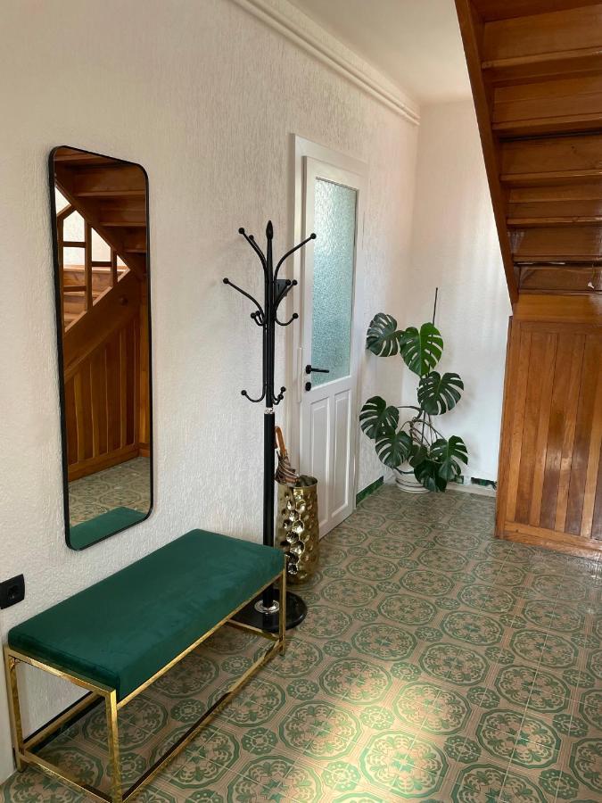 Cilka'S House, Authentic Homestay Near Lipica 塞扎纳 外观 照片