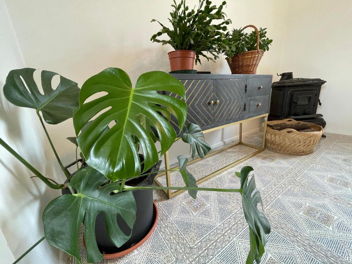 Cilka'S House, Authentic Homestay Near Lipica 塞扎纳 外观 照片