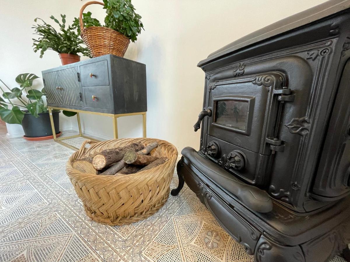 Cilka'S House, Authentic Homestay Near Lipica 塞扎纳 外观 照片