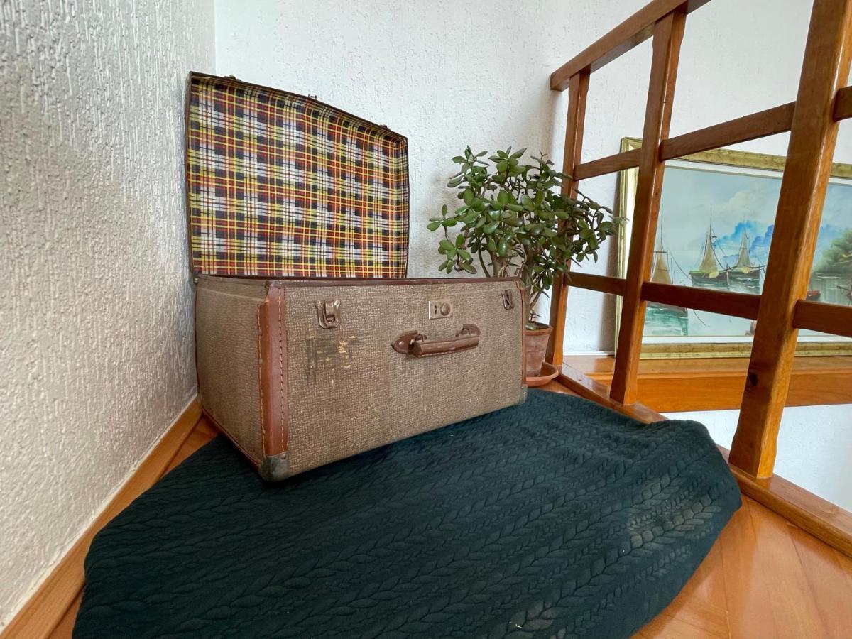 Cilka'S House, Authentic Homestay Near Lipica 塞扎纳 外观 照片