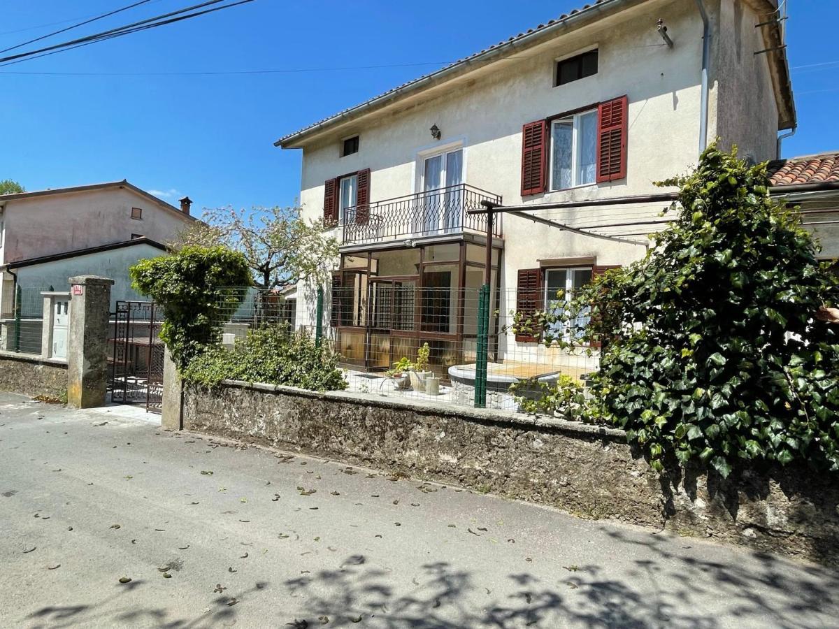 Cilka'S House, Authentic Homestay Near Lipica 塞扎纳 外观 照片